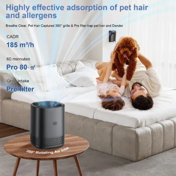 AirLume Air Cleaners for House US8