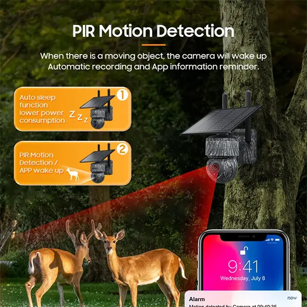 RewrerCam Trail Cameras for Security