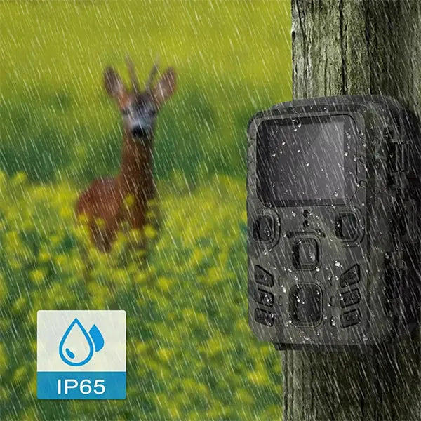 Z2 OliTrap Camera Traps US1
