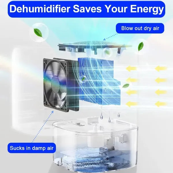 PureDry Dehumidifiers for Bedroom