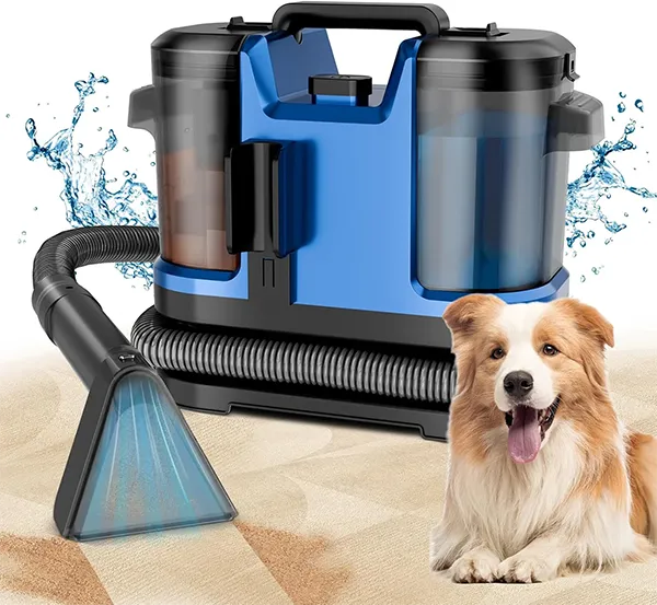 Carpetiva Carpet Cleaners US08